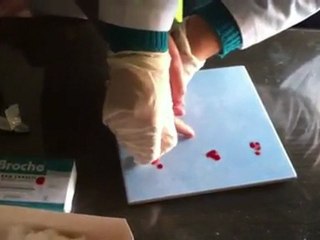 bilinçli gençler 1