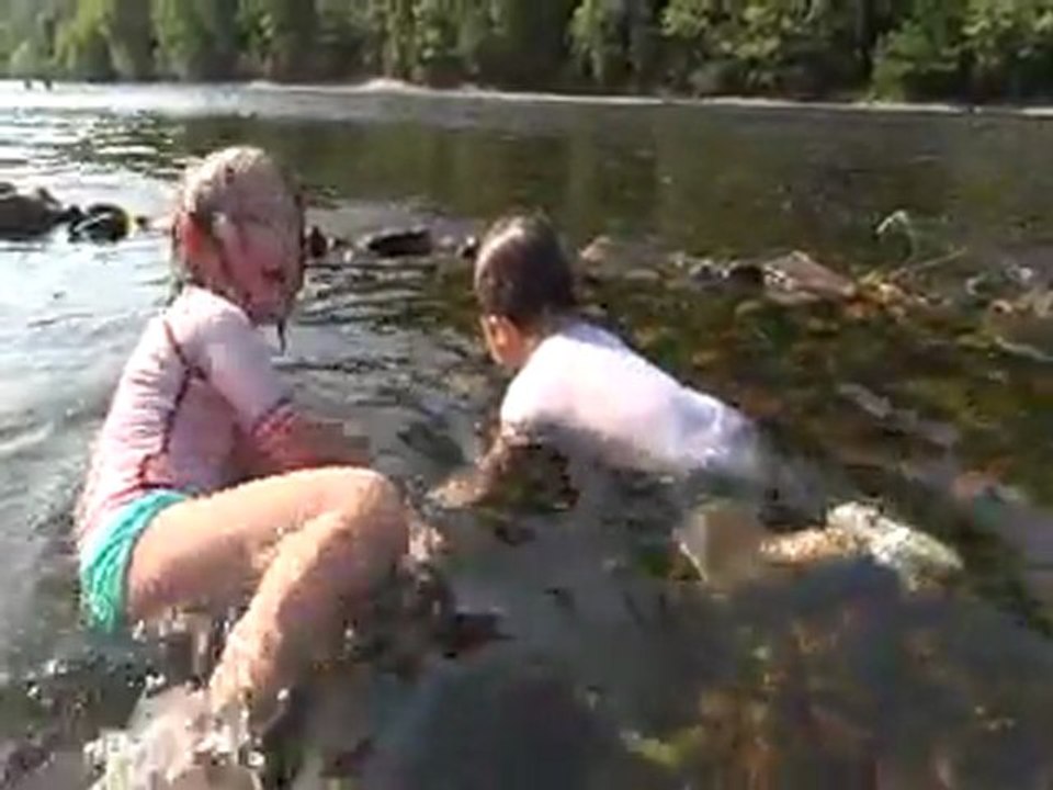 Petits poissons de Dordogne