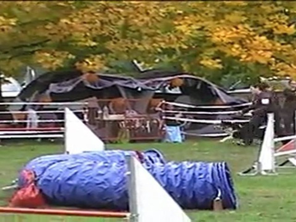 Canis Club Palois 30 10 2010