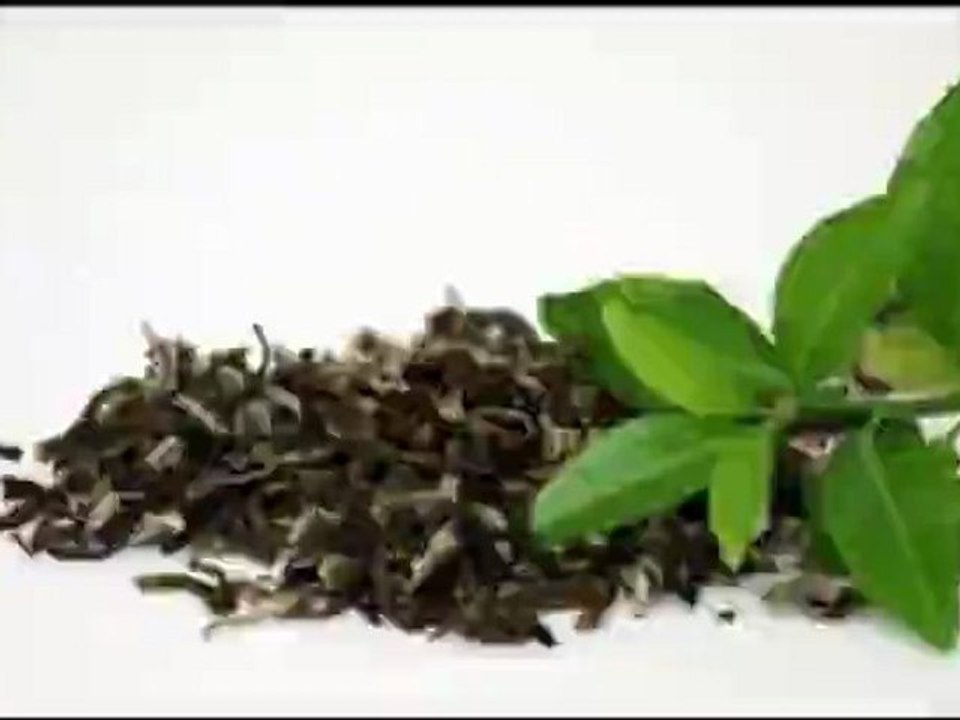 Speedvidéo : Infusion de Thé ( Bouddha ) .