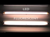 LED T8 Tube Lights - Product Video