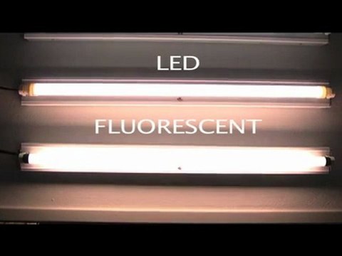 LED T8 Tube Lights - Product Video