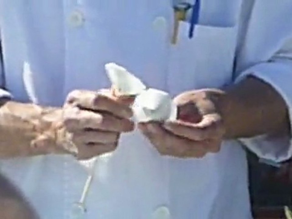 V28- Pétales en tranches de patate