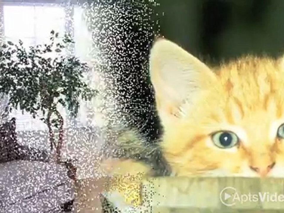 Newbury Village Apartments in Meriden, CT - ForRent.com