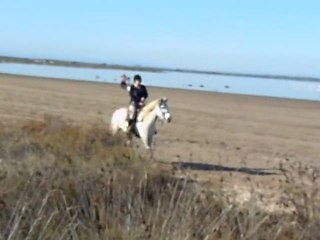 Camargue:   triple galop avec Fidélio ( lire résumé avant)