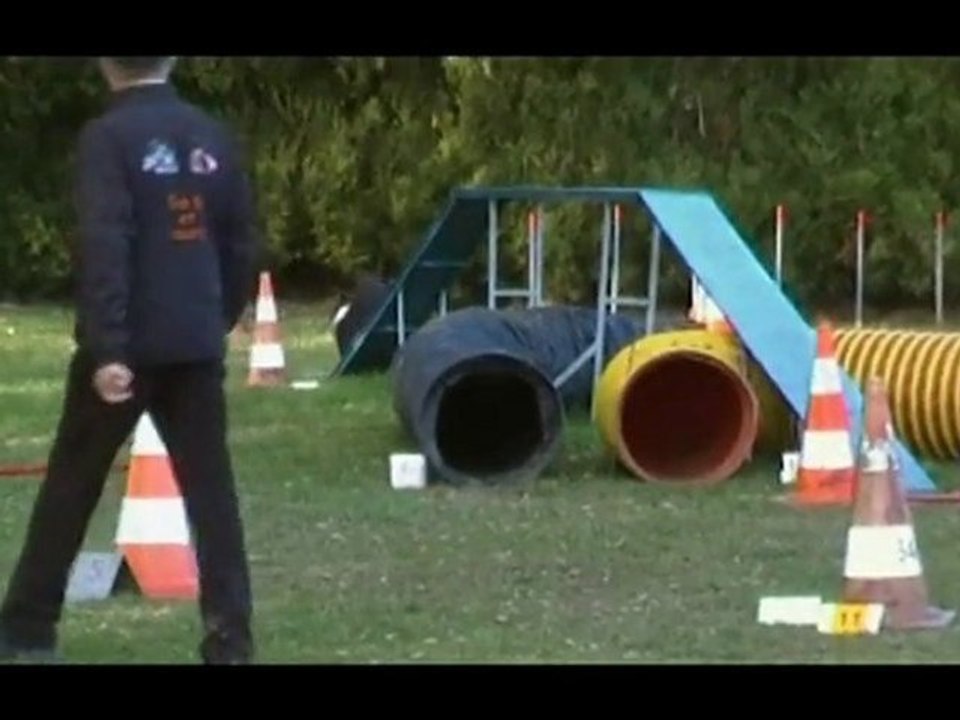 entrainement agility Francaltroff Flipper 1 an