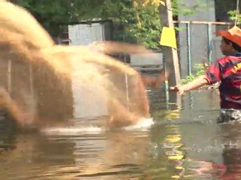 Flutopfer in thailand: angst vor seuchen und krokodilen