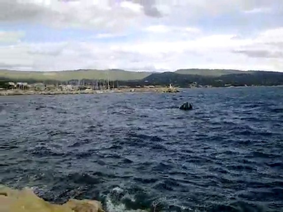 bateau qui a couler face a l'office du tourisme