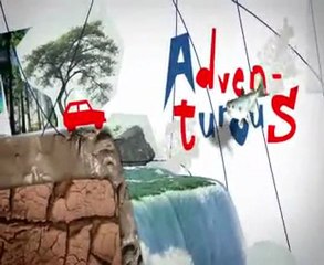 Panda Time - Follow the evolution