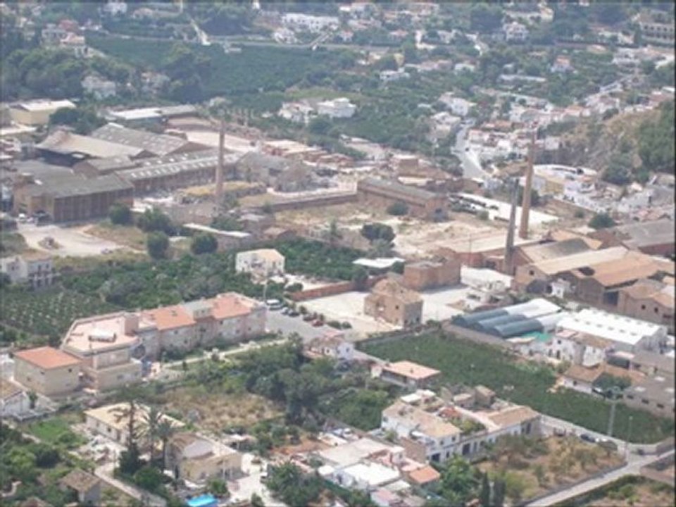 LA SAFOR:  OLIVA  VISTA DEL CIELO