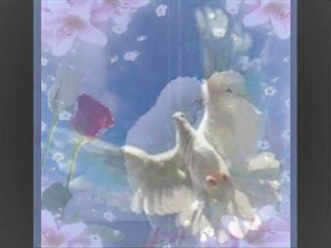 ınadına damar uzun hava