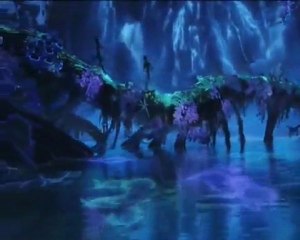 Les 7 faveurs du martyr (shahid )