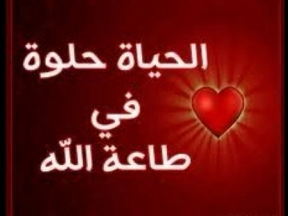 cheikh nabil al awadi 2