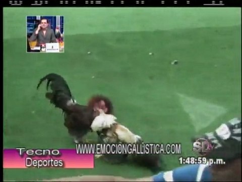 3ERA PARTE PROGRAMA TECNODEPORTES MIERCOLES 2-NOVIEMBRE POR MANUEL PERELLO