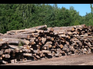 Международный День Без Бумаги