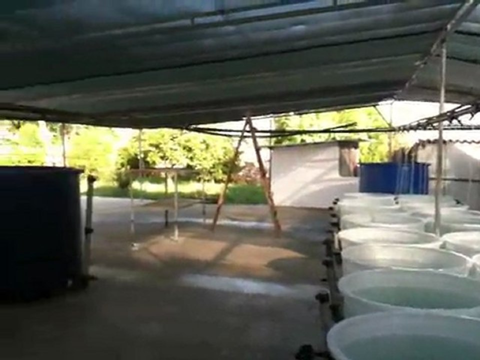 Botanik Akvaryum Balık Üretim Çiftliği