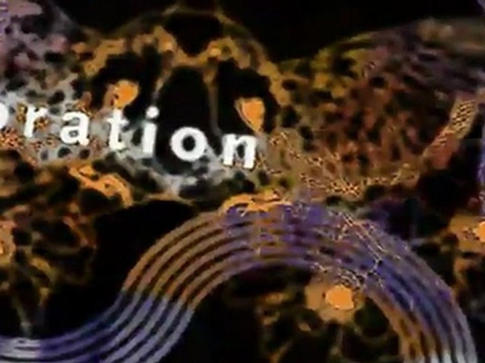 Celebration Day 11/11/2011