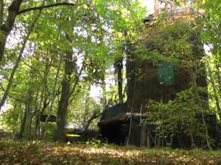 Cocumont: dans la palombière avec les amis