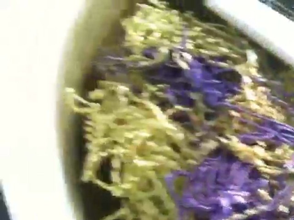 Botanik Akvaryum Balık Üretim Çiftliği