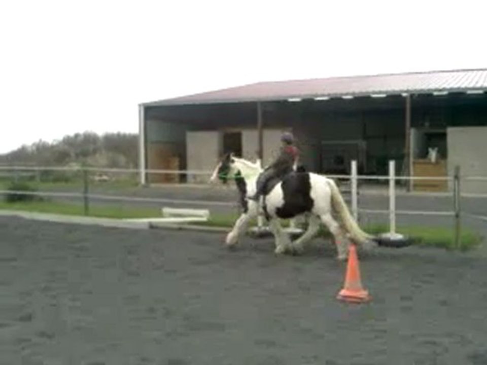 Noé et Freeze 01/11/2011