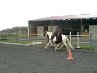 Noé et Freeze 01/11/2011