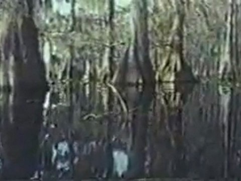 (DVD06) (01) PANTANO DE COCODRILOS