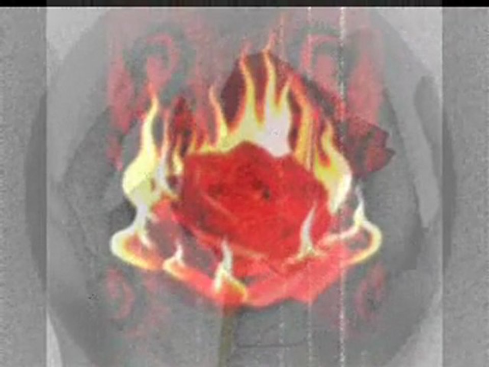 yasaklı sevdam azime öz karışık şihirler