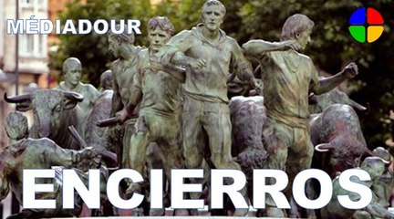 2011 Feria de l'encierro - Téthieu (Landes) - 3° partie