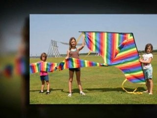Quality stunt Kites
