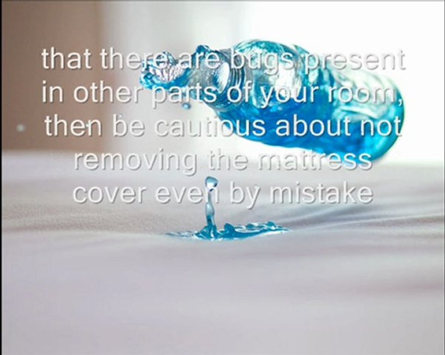 Bed Bug Mattress Covers