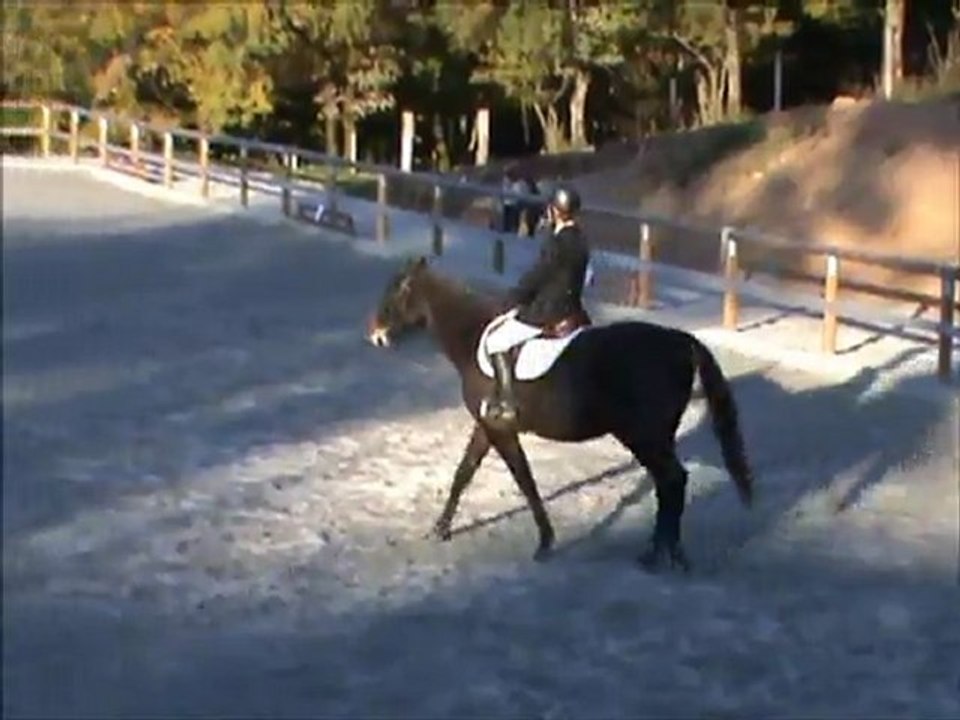 Dressage Blond Club 2 Grand Prix -Désir-