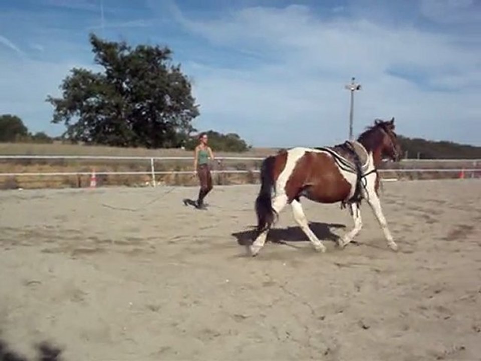 apache galop