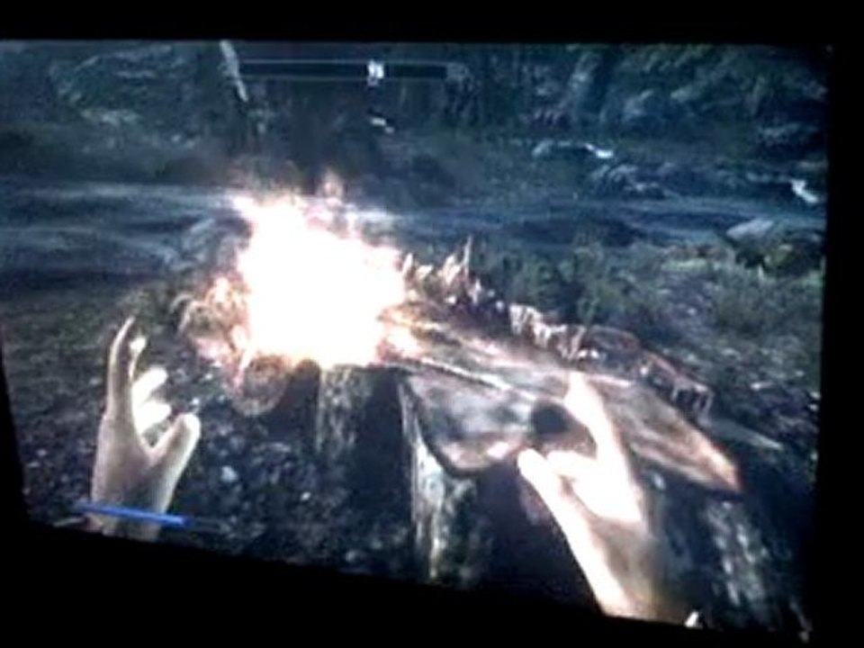 VID 00005-20111102-1643