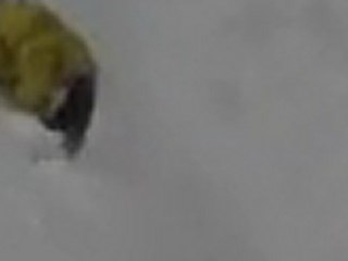 monday mallot- lucas d