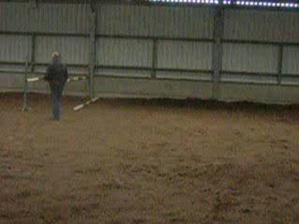 pictures 034