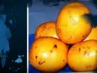 Discover How to Lose Weight With Pure African Mango.