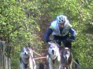 Championnat  National