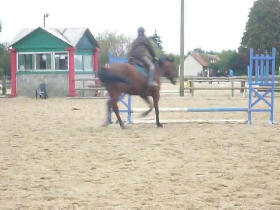 Pauline et Eglon - Enchaînement barres au sol/bleu/oxer jaune