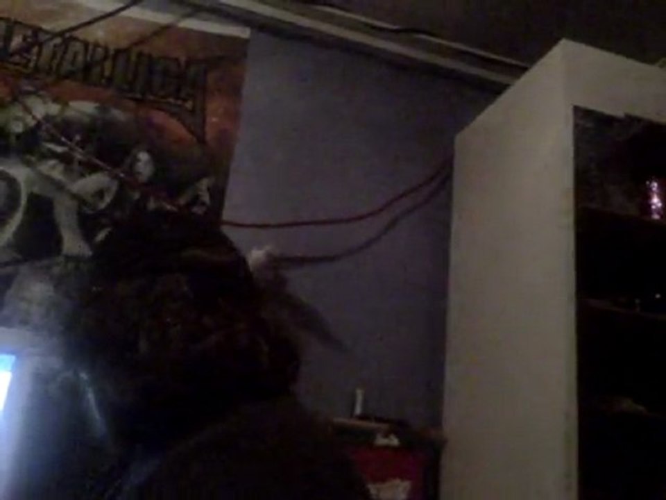 Vlog