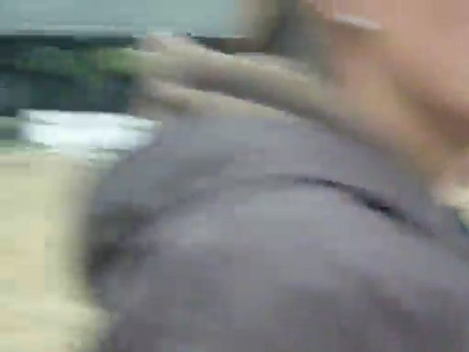 Charlotte et Eliott - Enchaînement vert/mur naturel