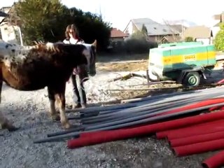 Aloha 6 février 2011