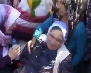 Gebertilmiş acem Dağ Cingeneleri (yapay adlandırma: kürtler)