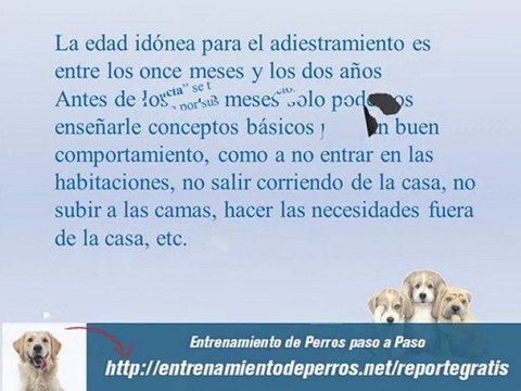Libro de Entrenamiento Canino : Adiestramiento de Perros