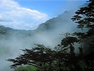 les chutes de Ekom-Nkam Cameroun