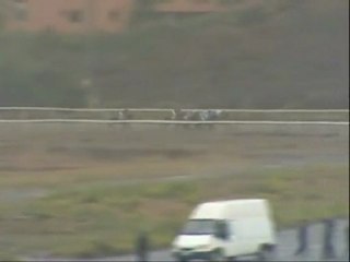 2011.10.22, nº 477 MJ (Divatto (Venta, AyG) Dixlesio