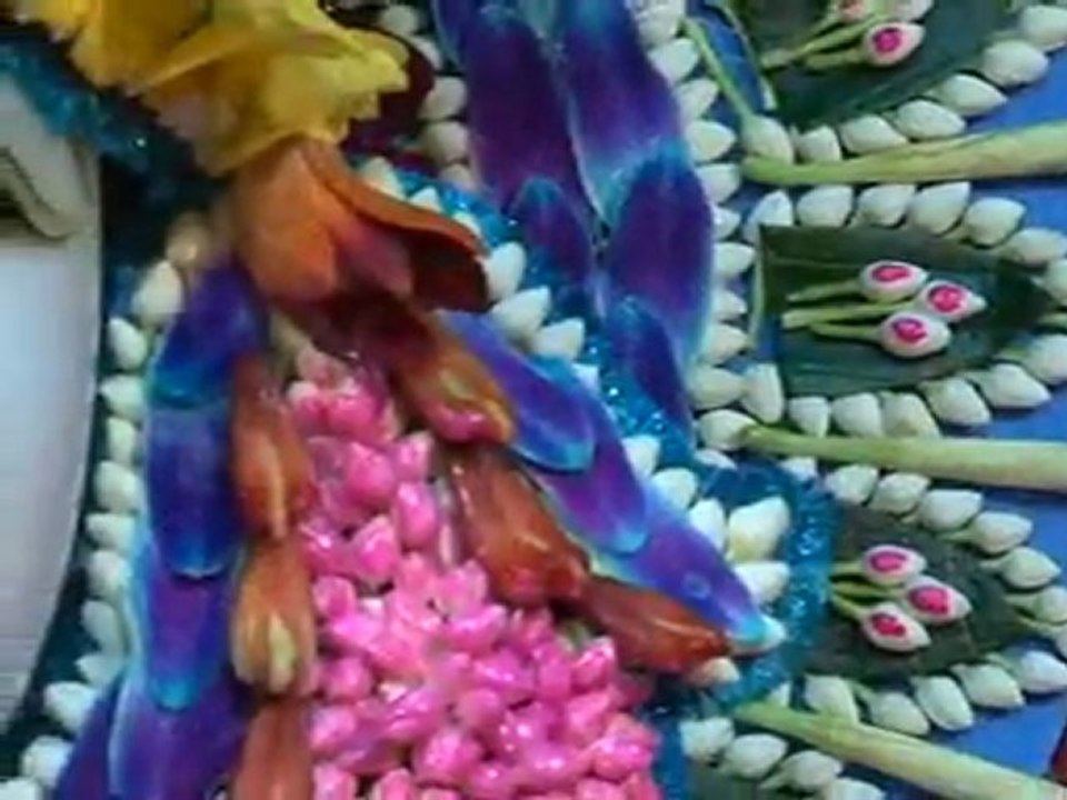Ghanashyam Darshan-25-05-2011