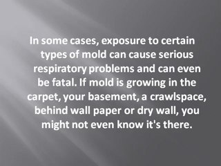 Mold Inspectors Protecting your Home