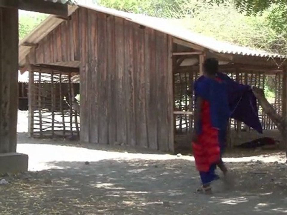 Sodafabrik gefährdet seltene Flamingos