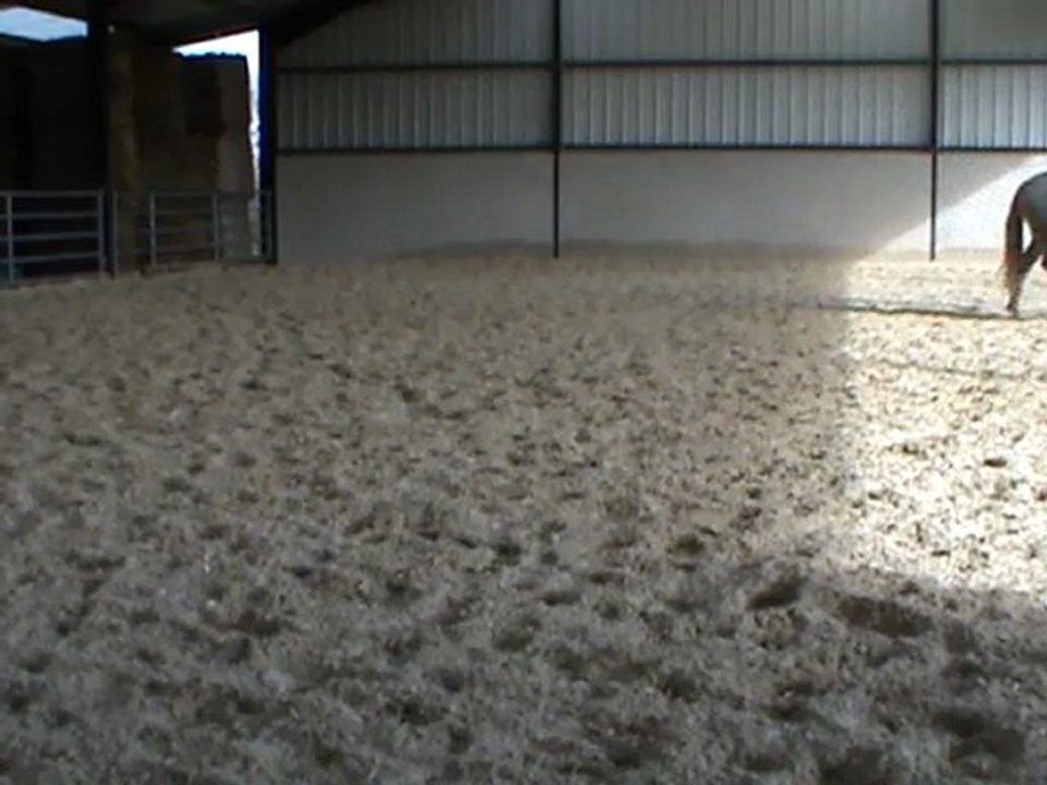 travail au trot