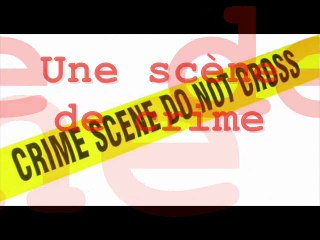 La Crinière du Lion